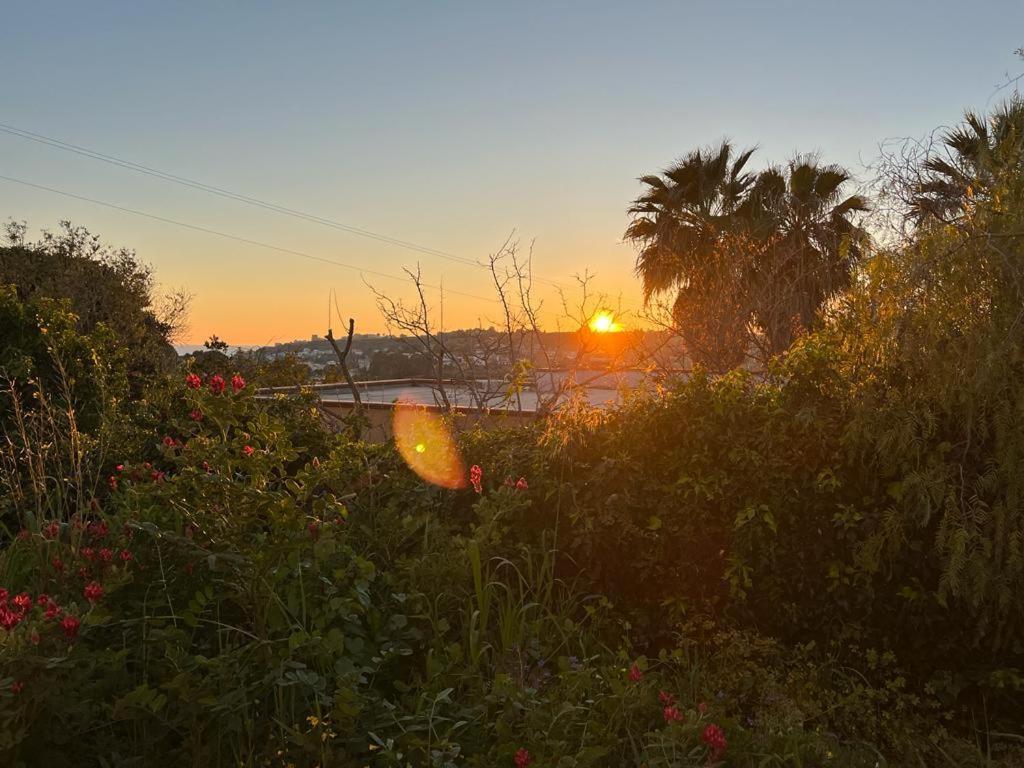Vila Casa Porto Palo Exteriér fotografie